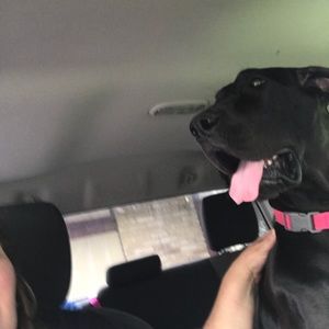 Meet your Posher, Cindy